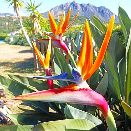 Ferienhaus Abba Urci Villino Ohana Vista Mare Tertenìa